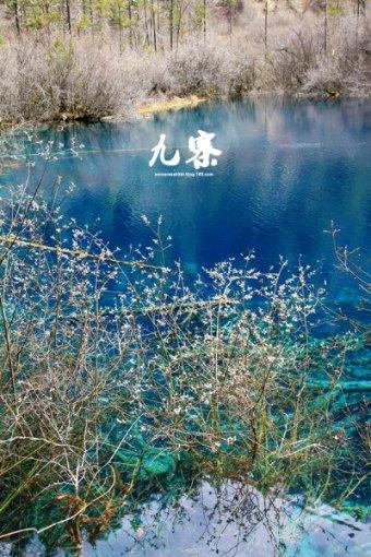 宁夏银川富洋烧烤店爆炸原因是什么?官方回应