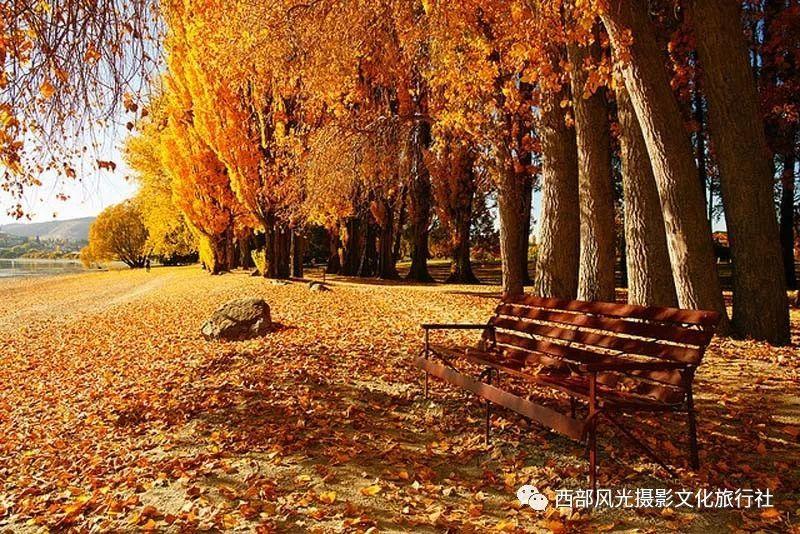 救援蒙克