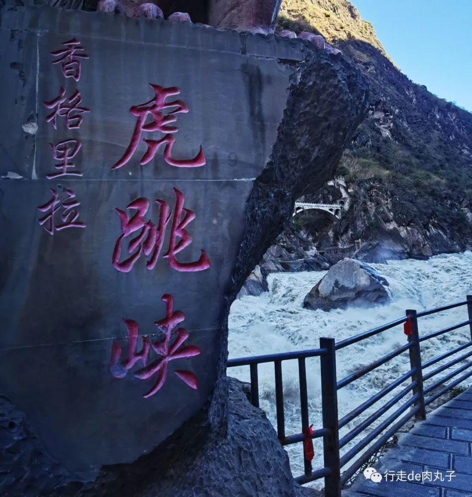 救援卷耳兔