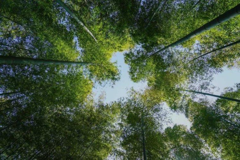 小猫钓鱼开船版最新版下载