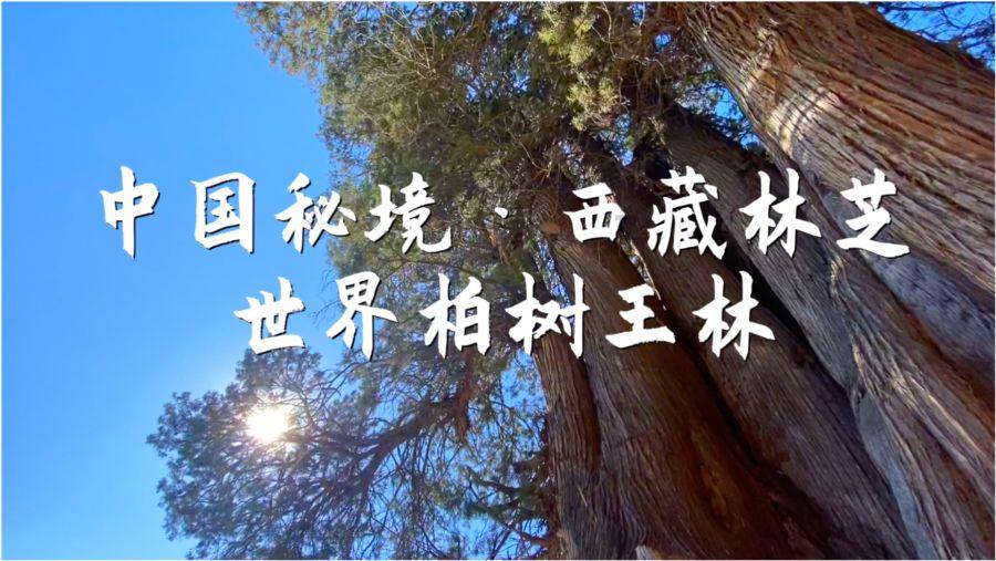 多彩时尚美发沙龙