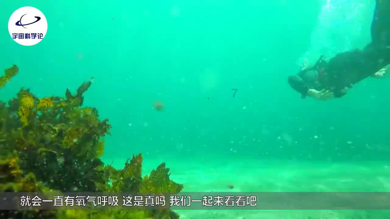 海滩度假胜地逃脱