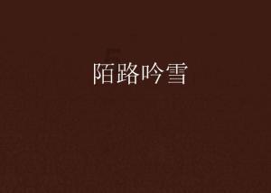去年共立案侦办走私等案件4959起 “套代购”占四成
