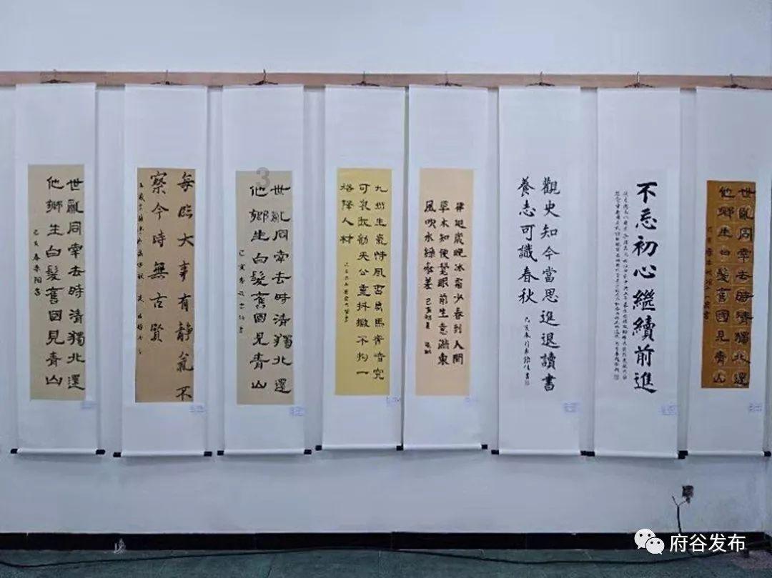 救援大嘴鸟