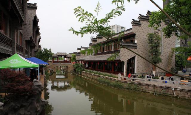 8000多元买的宠物鸭散步走失被过路人抓走，险些成为老鸭煲